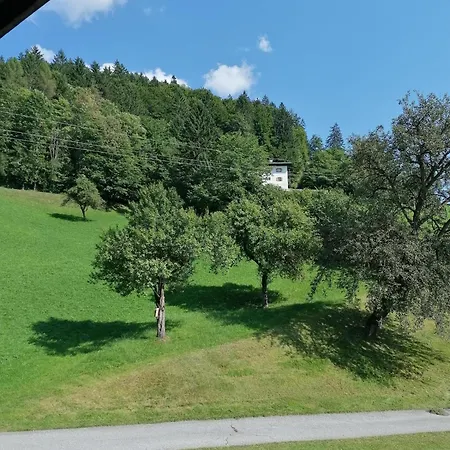 Riedhof *